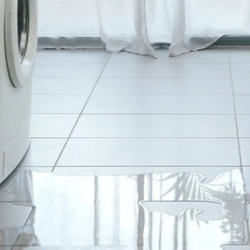 Appliance Leak Cleanup in Rock Hall, MD